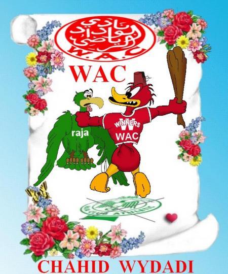 ****un souvenir pour le raja****